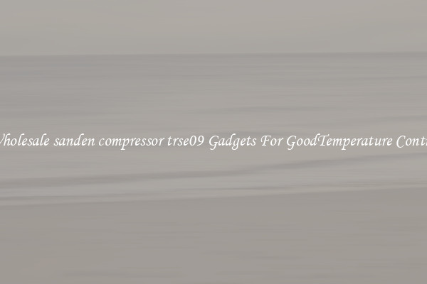 Wholesale sanden compressor trse09 Gadgets For GoodTemperature Control