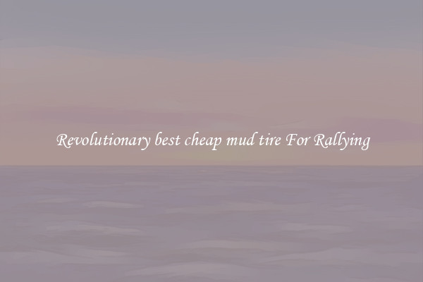 Revolutionary best cheap mud tire For Rallying