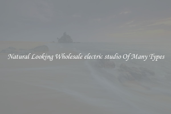 Natural Looking Wholesale electric studio Of Many Types