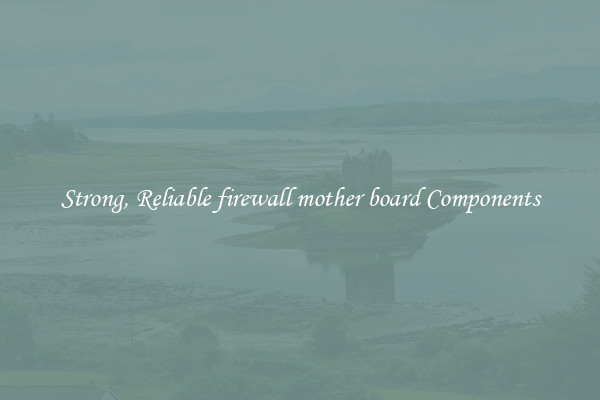 Strong, Reliable firewall mother board Components