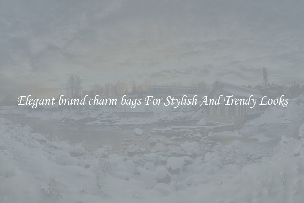 Elegant brand charm bags For Stylish And Trendy Looks