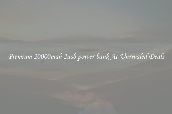Premium 20000mah 2usb power bank At Unrivaled Deals
