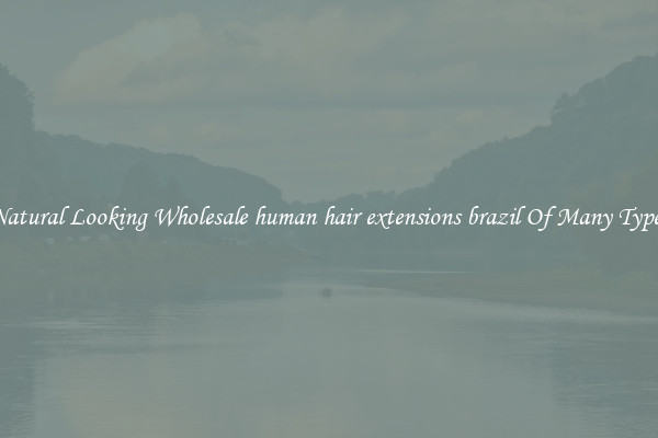 Natural Looking Wholesale human hair extensions brazil Of Many Types