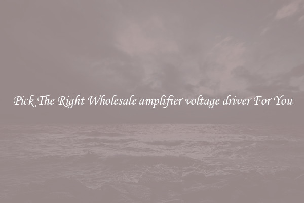 Pick The Right Wholesale amplifier voltage driver For You