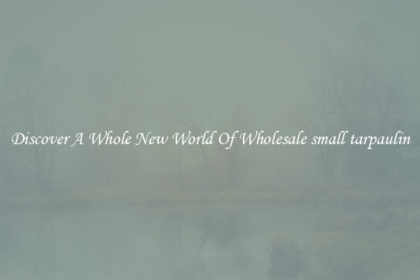 Discover A Whole New World Of Wholesale small tarpaulin