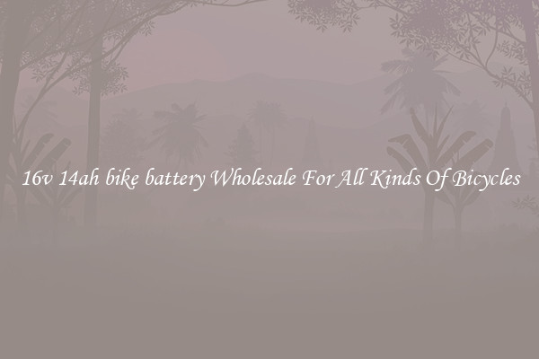 16v 14ah bike battery Wholesale For All Kinds Of Bicycles