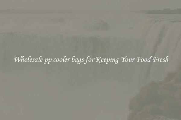 Wholesale pp cooler bags for Keeping Your Food Fresh