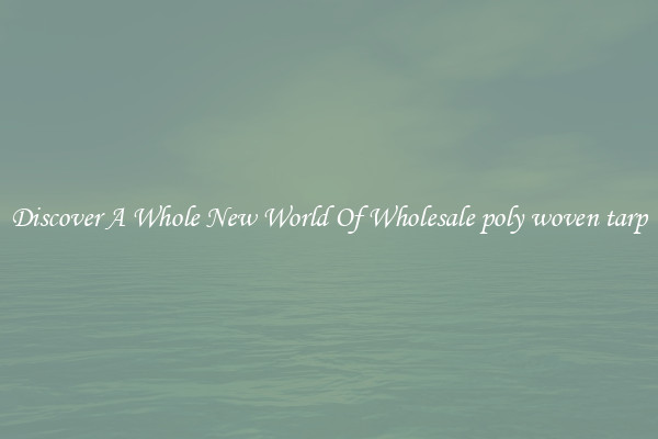 Discover A Whole New World Of Wholesale poly woven tarp