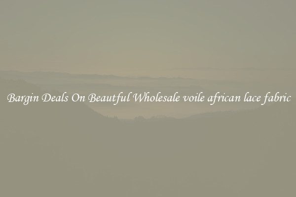 Bargin Deals On Beautful Wholesale voile african lace fabric