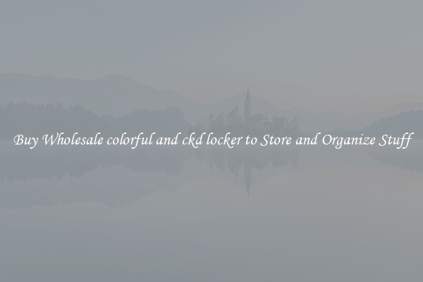 Buy Wholesale colorful and ckd locker to Store and Organize Stuff
