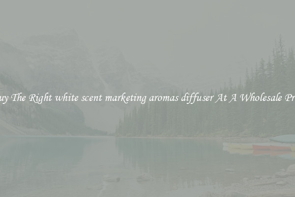 Buy The Right white scent marketing aromas diffuser At A Wholesale Price