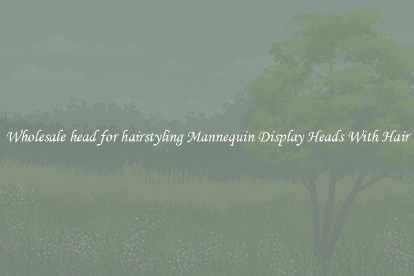 Wholesale head for hairstyling Mannequin Display Heads With Hair