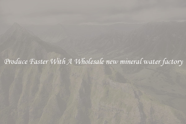 Produce Faster With A Wholesale new mineral water factory