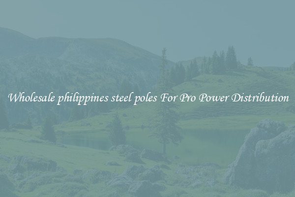 Wholesale philippines steel poles For Pro Power Distribution