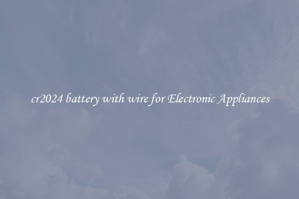 cr2024 battery with wire for Electronic Appliances