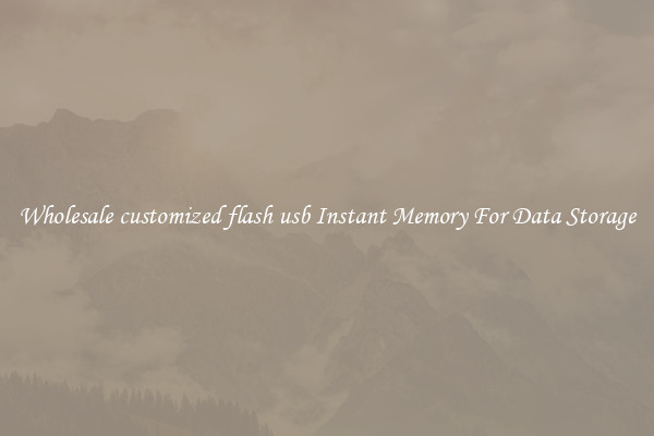 Wholesale customized flash usb Instant Memory For Data Storage
