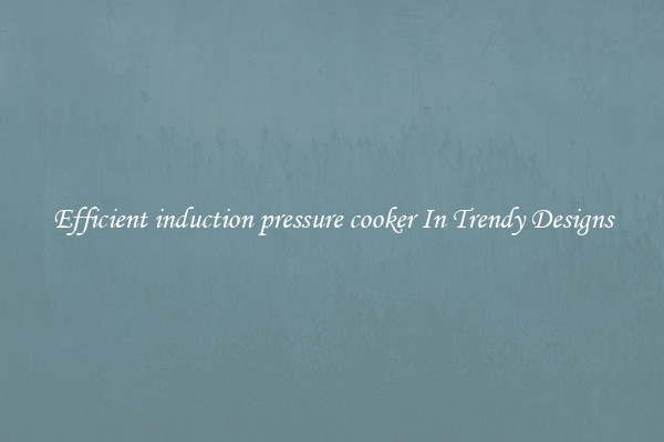 Efficient induction pressure cooker In Trendy Designs