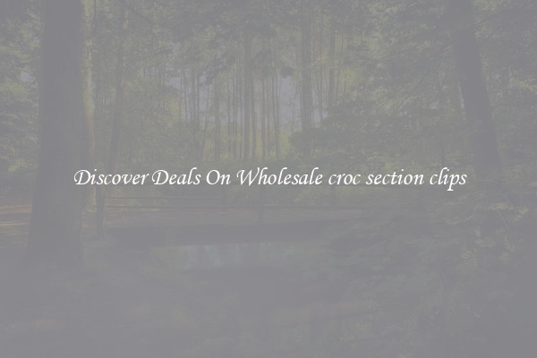 Discover Deals On Wholesale croc section clips